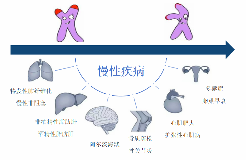 1739932570603.png 1739932570603.png